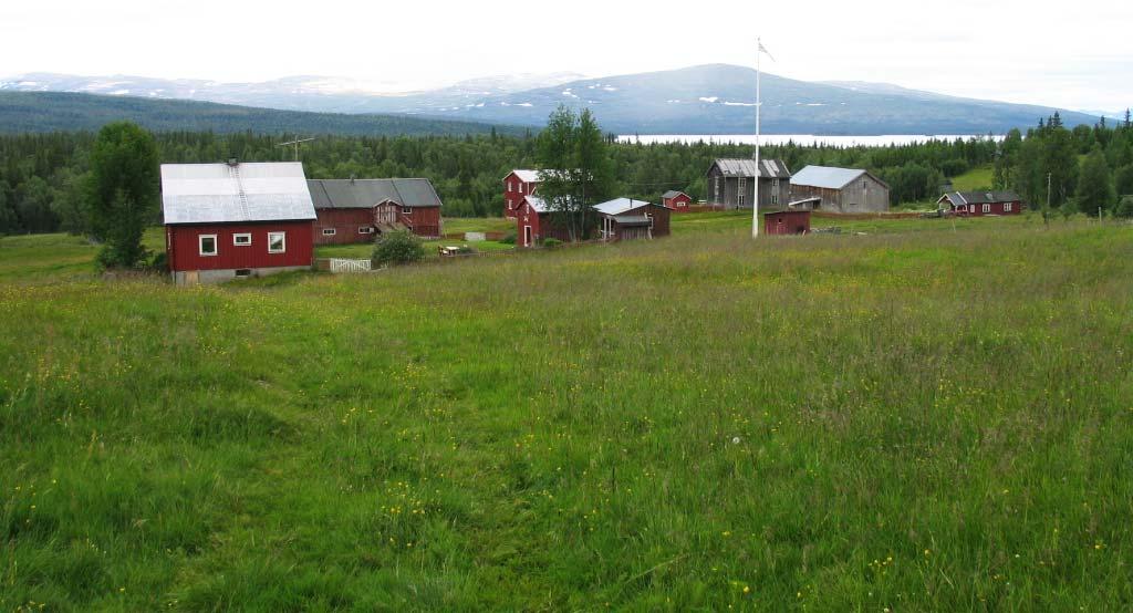 gårdene. Det er fire fjellgårder i Snåsa, Gaundalen, Holden, Gjevsjøen og Gressåmoen.