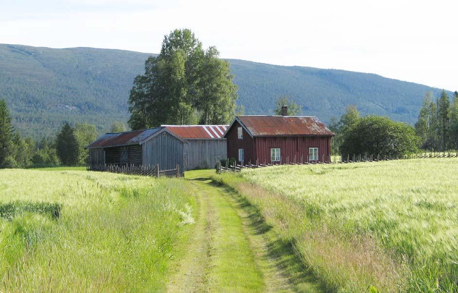 GAMLE HUS DA OG NÅ Husmannsplassen Sandmoen under Jørstad Mellom har et tilnærmet komplett, eldre bygningsmiljø.