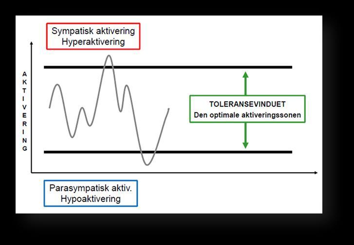 Kommunepsykolog? Helsesøster? Individuell / Gruppetilbud?