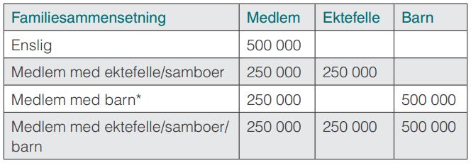 Obligatorisk familieulykkesforsikring Arbeid og fritid i hele verden, 24 timer i døgnet.