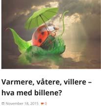 bli sjeldne Det kan bli færre av de