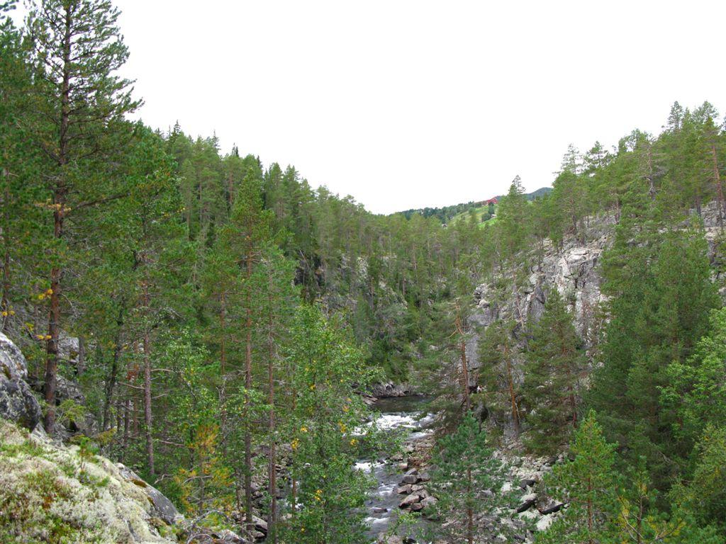 skråningen nedenfor.