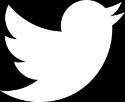 Videre er anskaffelsen av Twitter-profil mest populær blant de unge. Twitter har lojale brukere som bruker tjenesten over tid.