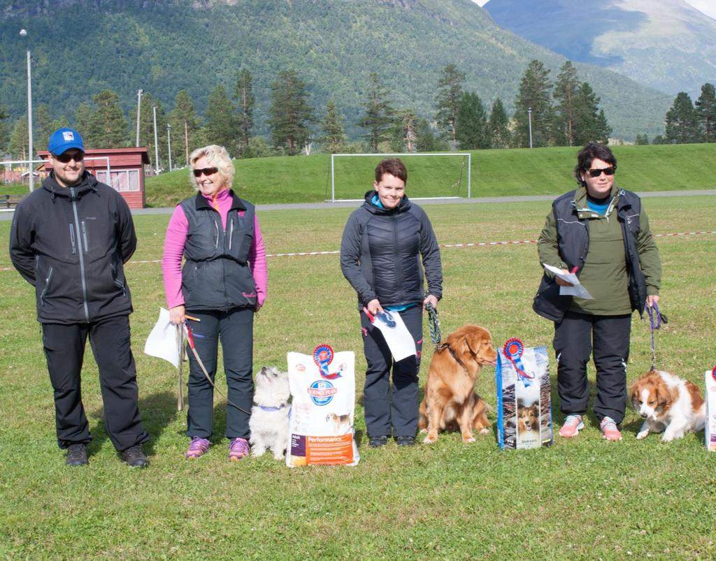 3 Fra rallylydighets prøve i august ÅRSMELDING 2016 BARDU HUND Det har i 2016 vært en liten økning i medlemsmassen.