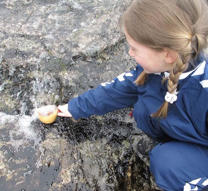 Miljø Masfjorden er ein stor geografisk kommune. Det er viktig å ta vare på og utvikla miljøet vårt på ein forsvarleg måte for framtida.