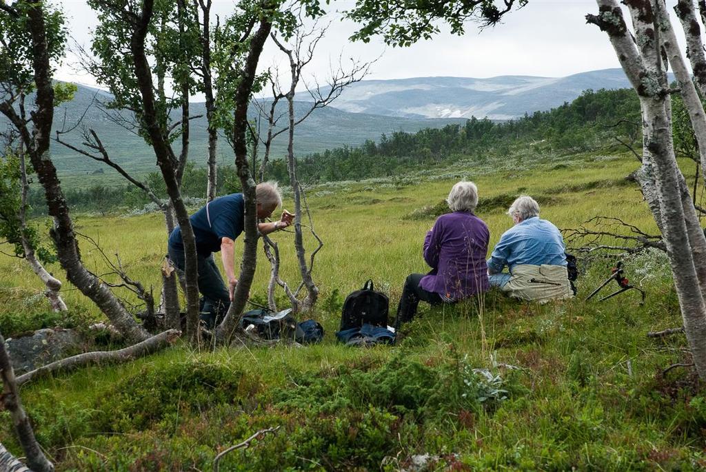 Sentrale begreper Bakgrunn Metode Resultater Oppsummering