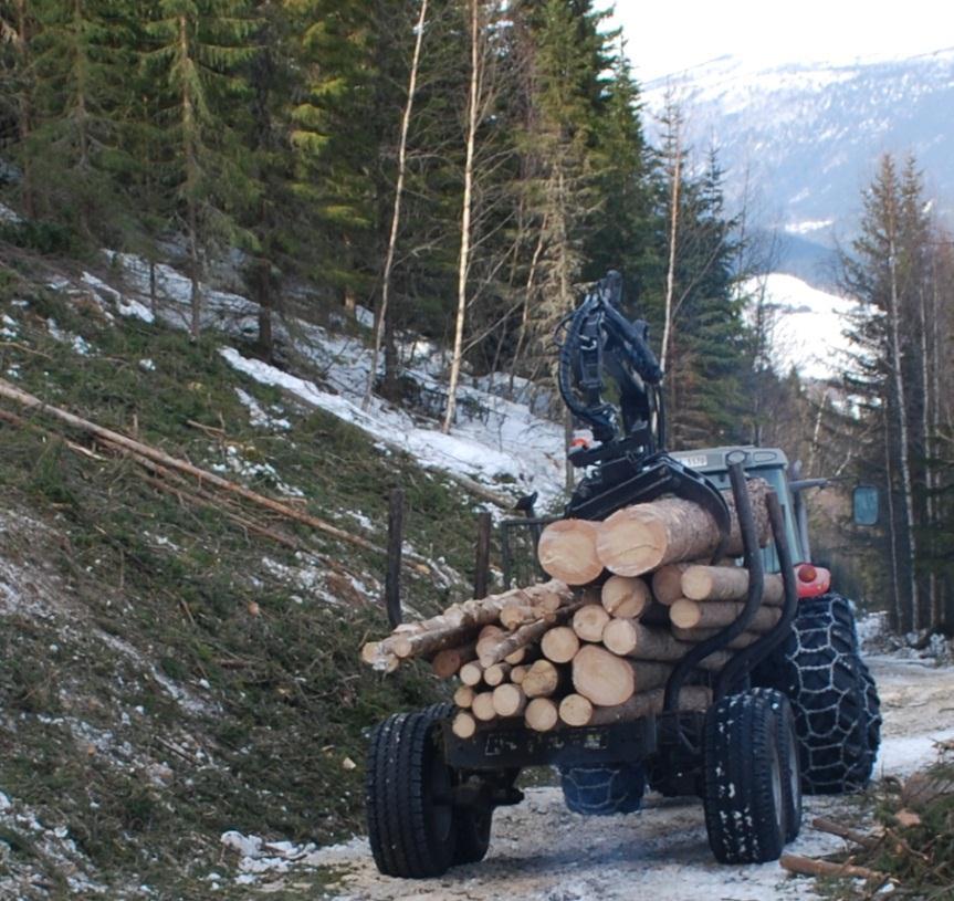 ) og kr 170 pr. kubikkmeter for granog furuvirke omsatt til salg. Foto: Jon Sigurd Leine Det ble i 2013 utbetalt snaut 1,2 millioner kroner i tilskudd til drift i vanskelig terreng.