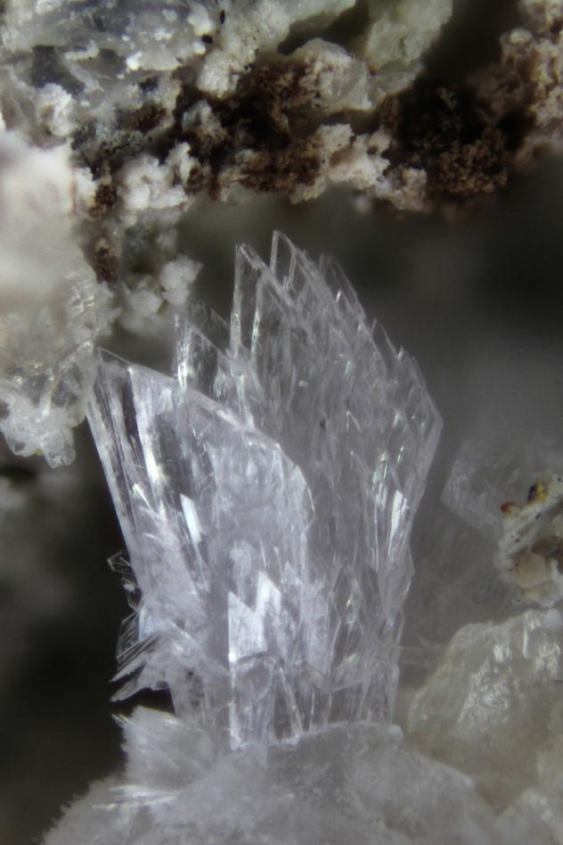Du finner mineralene i Mindat ved å søke med de engelske navnene på mineralene; bluelizardite, fluckite og kokinosite. Fluckitt. Foto fra Mindat Bluelizarditt.