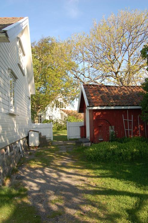 Stråholmen- noen fakta Øya ca 600 daa I dag 70 daa i statlig eie(naturreservat) resten privat.
