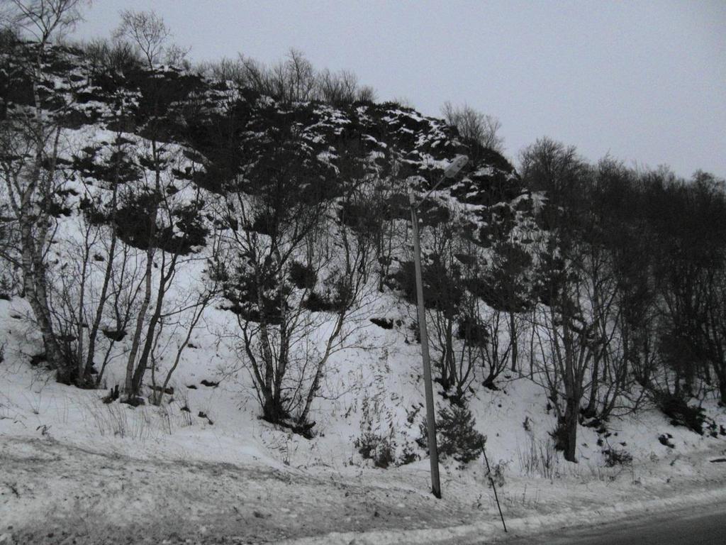 Løssneområde for nedfall som ble funnet i grøft under befaring (se foto 12) Omtrentlig høyde for planlagd bergskjæring Blokk/stein i foto