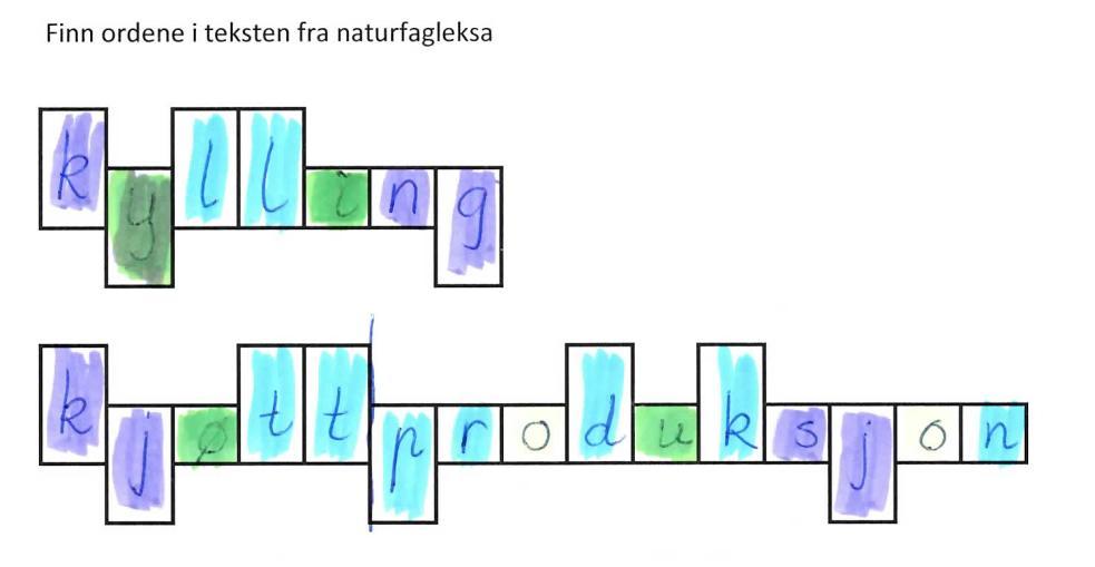 hvordan de ulike bokstavene passer inn i boksene.