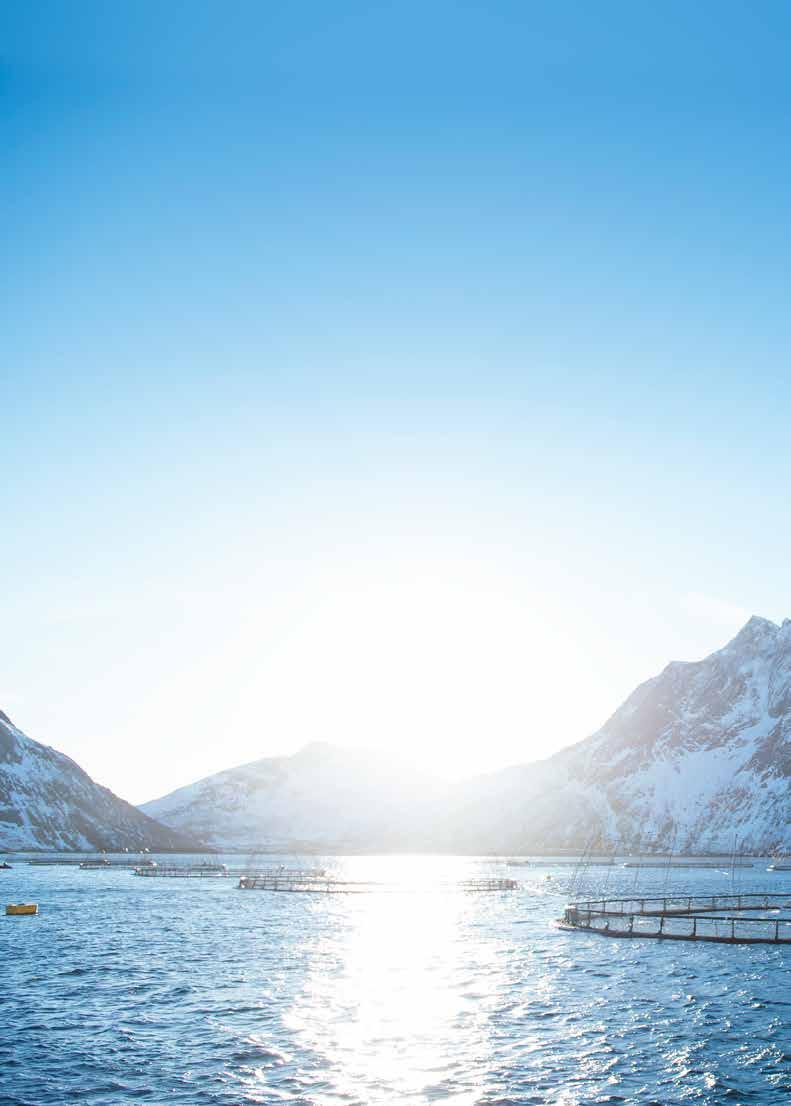 Sosial og økonomisk bærekraft Sjømat Norge skal bidra til at FN oppnår følgende bærekraftsmål relatert til sosial og økonomisk bærekraft: Utrydde sult, oppnå matsikkerhet og bedre ernæring, og fremme