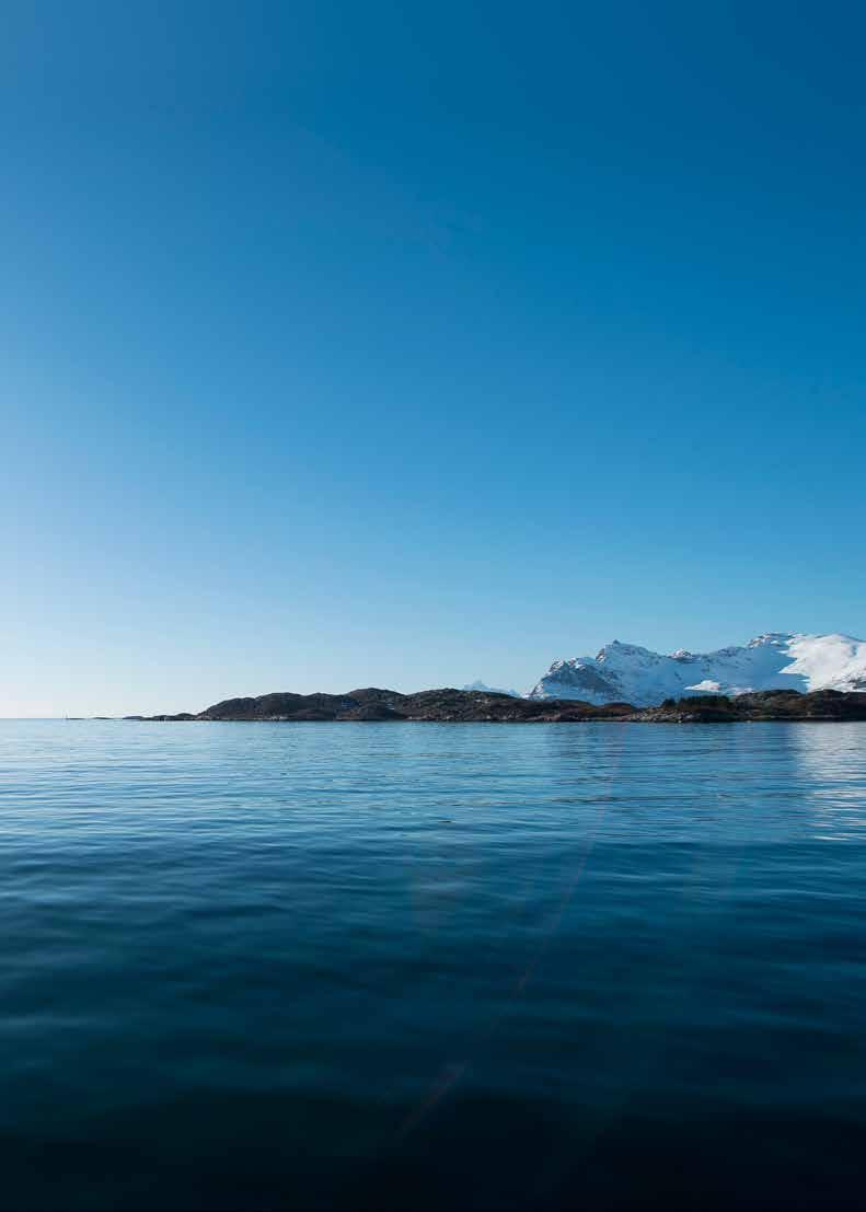 Sjømat Norge sitt bidrag til FNs bærekraftmål er konkretisert ved følgende hoved mål for norsk havbruksnæring.