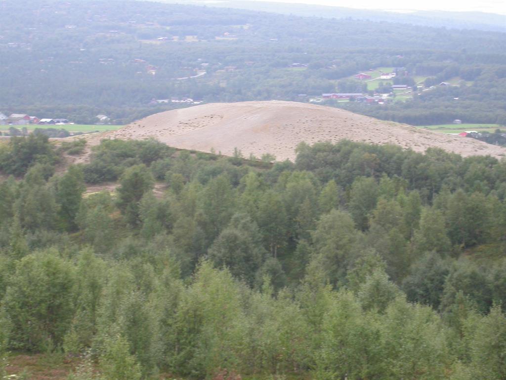 Bilde 3 Sanddynene på Røros (Sør-Trøndelag) er resultatet av avskoging i forbindelse med gruvedrift, som omskapte fastmarksskogsmark til boreal hei [1] kalkfattig boreal hei.