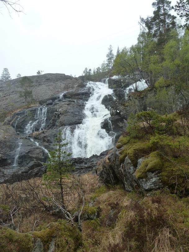 Kystsaltlav (VU) er registrert på fosseberg i nedre del av fossesprøytsonen i Agledalselva (t.h.) Foto: Torbjørg Bjelland.