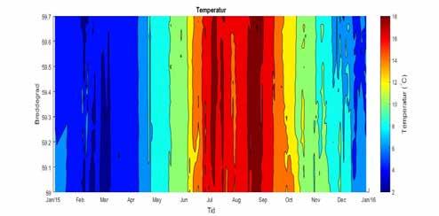 Figur 34. Konturplott av temperatur på 4 m dyp i 215.