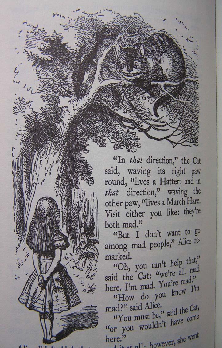 Cheshire Puss, she began, ( ) would you tell me, please, which way I ought to go from here? That depends a good deal on where you want to get to, said the Cat.