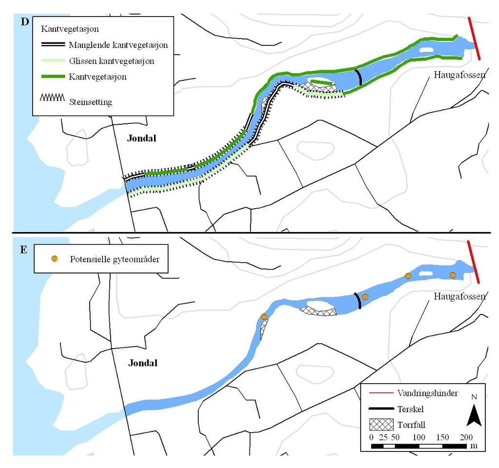 Figur 27. Boniteringskart for Jondalselva som viser D) kantvegetasjon og steinsetting og E) potensielle gyteområder. 7.