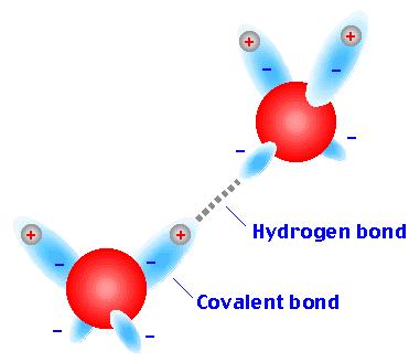 Bindingstyper Type binding Lengde nm Styrke (vacuum) kcal/mol Styrke (vann) kcal/mol Kovalent (kjemisk) 0,15 90 90