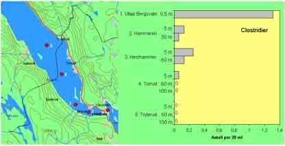 Figur 4.14 Middelverdier av 16 observasjoner (mai-desember 21) av vannets konsentrasjon av sulfittreduserende clostridier ved forskjellig dyp på de ulike stasjoner Figur 4.