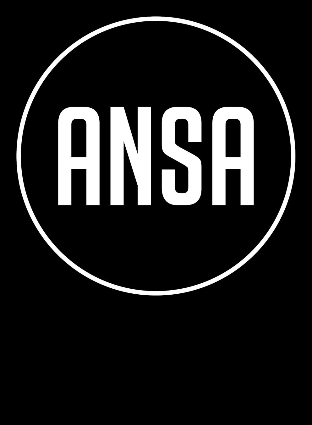 ANSA I MEDIA 2016-2017 Til ANSAs 61.