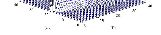 38 Figur 1: Begge grafene viser nevrotransmitterutskilling i midten av dem synaptiske spalten; til venstre med diffusjonskoeffisient α =.5 og til høyre med α = 1; γ =, k 1 = k =.5, t =.1, h =.5. := β γ ( 1) β γ γ β Definisjon 6.