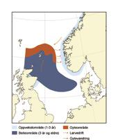 158 HAVETS RESSURSER OG MILJØ 25 KAPITTEL 4 ØKOSYSTEM NORDSJØEN/SKAGERRAK 4.2.3.5 Sei i Nordsjøen og vest av Skottland Gytebestanden av sei i Nordsjøen er i god forfatning.