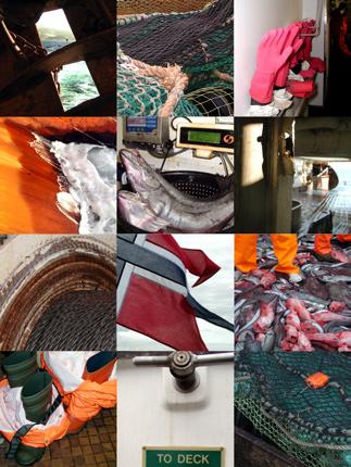 24 HAVETS RESSURSER OG MILJØ 25 KAPITTEL 6 BAKGRUNNSSTOFF Referansepunkter som danner grunnlag for rådgivning om fiskekvoter Det internasjonale råd for havforskning (ICES) har de siste årene jobbet