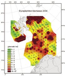 44 HAVETS RESSURSER OG MILJØ 25 KAPITTEL 2 ØKOSYSTEM BARENTSHAVET antall stasjoner er en begrensende faktor for presisjonen, ser vi at det var mest plankton i 24, og at fordelingen var noe