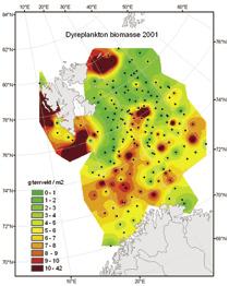 Begge kartene viser likevel flere stasjoner med særlig høy biomasse helt i nord i arktisk vann. Dette skyldes forekomster av arktiske amfipoder (Themisto libellula).