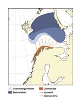 KAPITTEL 2 ØKOSYSTEM BARENTSHAVET HAVETS RESSURSER OG MILJØ 25 45 2.2.3 De pelagiske ressursene 2.2.3.1 Lodde Loddebestanden i Barentshavet er framleis på eit svært lågt nivå.