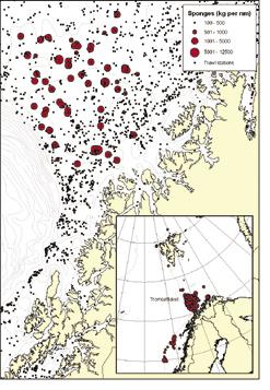 KAPITTEL 2 ØKOSYSTEM BARENTSHAVET HAVETS RESSURSER OG MILJØ 25 63 Det finnes mye koraller fra Lofoten og nord- og østover til og med Finnmark.