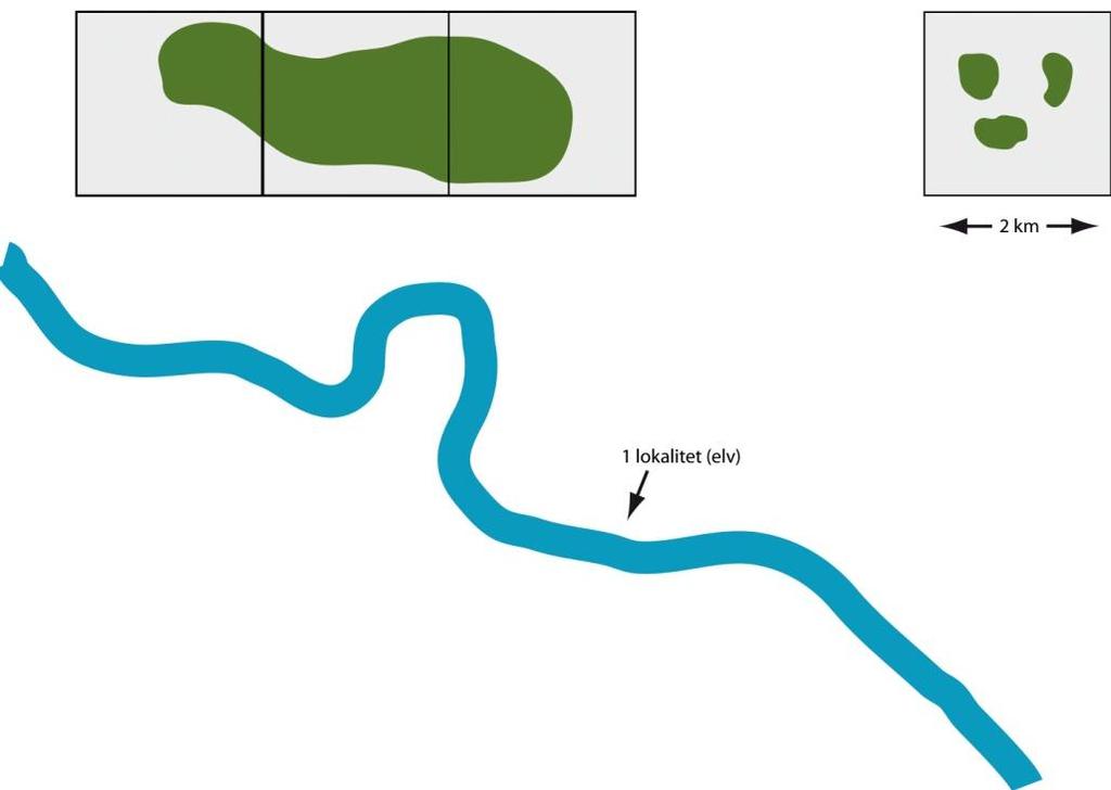 Lokaliteter En lokalitet = 2 x 2 km 2 3 lokaliteter 1 lokalitet