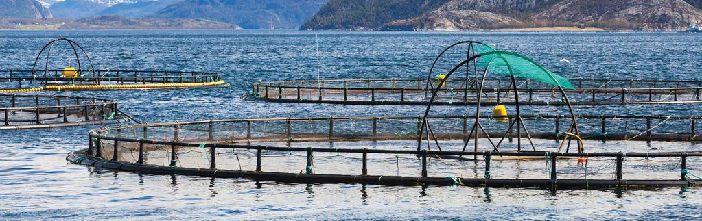 Hydroscand har butikker på 31 steder i Norge, fra Farsund i sør til Kirkenes i nord, samt servicebiler som reparerer og monterer slanger på stedet.