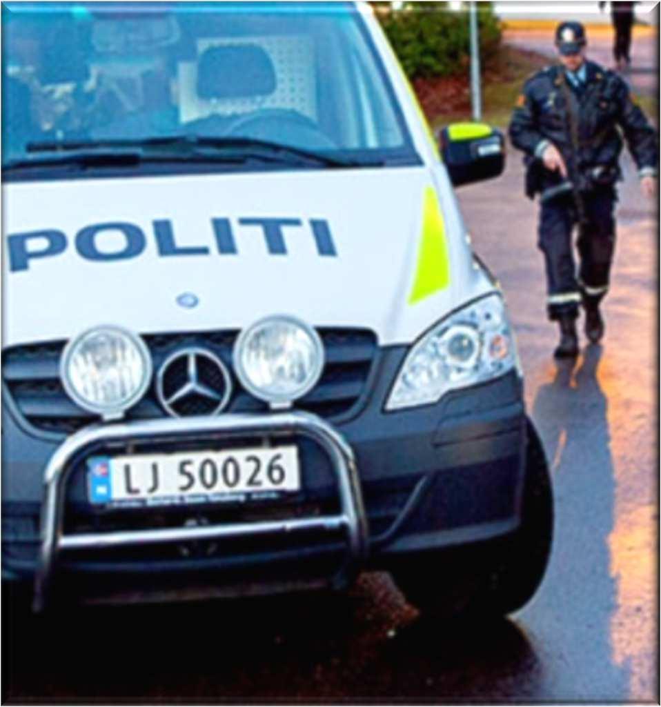 Hvordan skal politiet forholde seg? Respondere raskt!