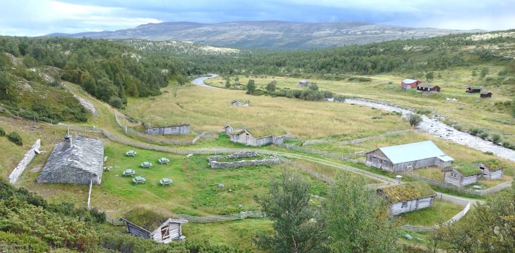 4. Rausjødalen Rausjødalen tek av mot nord frå Spekedalen og held nokolunde dalform om lag sju km innover fjellet. Dalen er smal med flate elveavsetningar i botnen, og kan delast inn i tre etasjar.