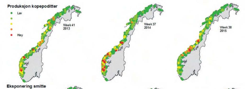 Figur 9: Beregnet total produksjon av luselarver per uke på alle lokaliteter innen henholdsvis sørlige (rød linje), midtre (svart linje) og nordlige (blå linje) deler av kysten i perioden januar 2012