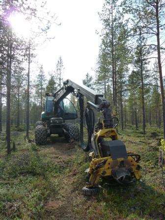 Noen faktatall for Nordland: 6,4 millioner dekar produktivt skogareal 700 000 dekar skogreisingsareal (mest i landet) tilsvarer 11 % av