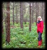 skogeiersamarbeid Spesielt viktig for Nordland, med sine 10 650 skogeiendommer Forstudie «Rett tre til