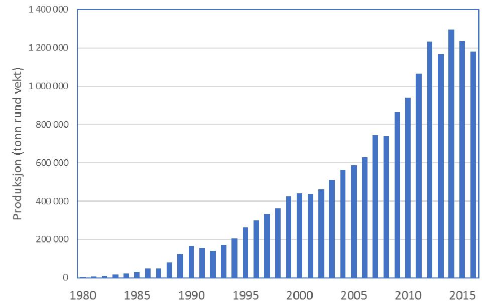 Figur 5.1. Produksjon av oppdrettslaks i Norge i perioden 1980-2016 (tonn). Tallene for 2016 er foreløpige (Kilde: www.fiskeridir.no). Figur 5.2. Rapportert antall rømt laks fra norske oppdrettsanlegg i perioden 1998-2016.
