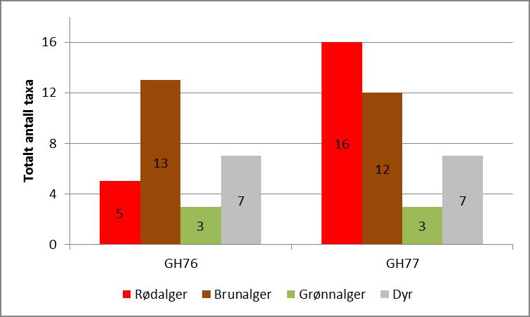 Figur 2. Fordelingen av antall taxa rød-, brun- og grønnalger samt dyr registrert på de to fjæresonestasjonene undersøkt i 2015. Tallene i senter av kolonnene viser antall taxa.