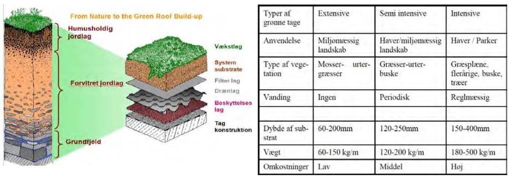 Figur 0-1: Tre typer kvaliteter av grønne tak. Kilde: København kommune. Teknik- og Miljøforvaltning (TMF), hentet fra SINTEF (20