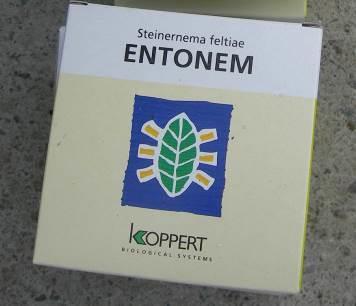 0,5 1 mill./m 2 ved potting. Rovmidd (Hypoaspis miles) Gjenta behandlingen etter ca. 7-10 dager. Ca. 200-400 stk/m 2 ved potting. Bruk ca.1 liter væske/m 2.