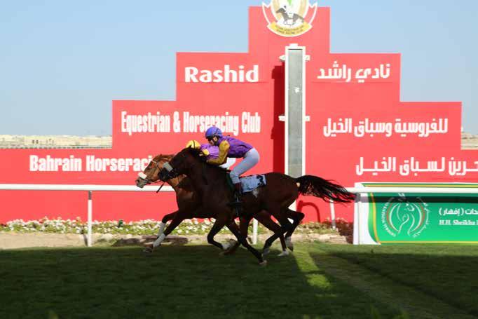 Rashid Equestrian and Horseracing Club er den første galoppbanen som ble etablert i denne regionen, før Dubai, Qatar og de andre mer kjente banene. Det arrangeres løp mellom oktober og mai.