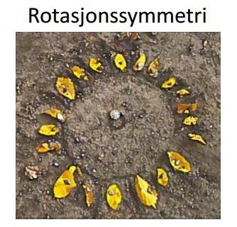 Parallellforskyving/flytting En grunnform som blir gjentatt flere