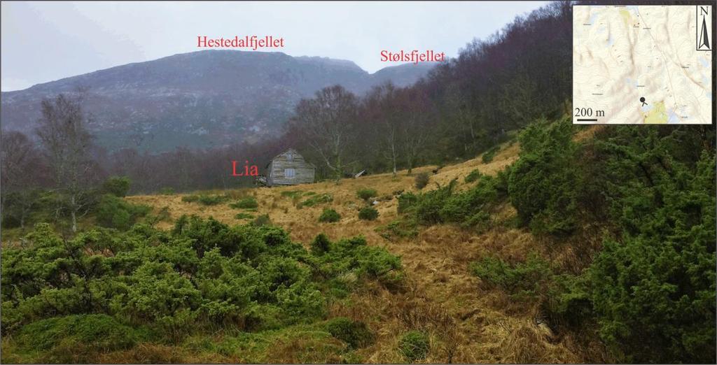 Figur 19: Lia sett frå nord. I bakkant i nord ser ein Hestedalfjellet og Stølsfjellet.
