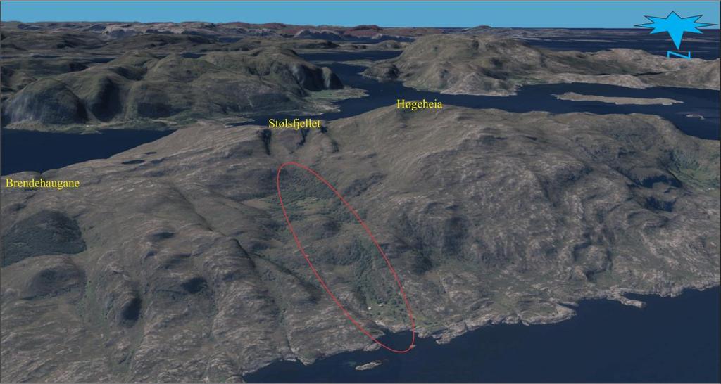 1.2. Topografi, hydrologi og vegetasjon Undersøkingsområdet, Lia (140 m o.h.) og Liavika (0-15 m o.h.) ligg i ei nordvendt li, nord/ nordaust for Høgeheia (450 m o.h.), nord for Stølsfjellet (331 m o.