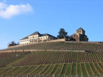 Schloss Johannisberg En av de mest historiske vinmarkene som er blitt synonymt med riesling i andre deler av verden.