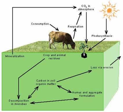 Utslipp av klimagasser fra melkeproduksjonen kg CO 2 eq /kg FPCM Middel [min, maks] Sum klimagasser 1.02 [0.82, 1.36] Enterisk - CH 4 0.39 [0.36, 0.