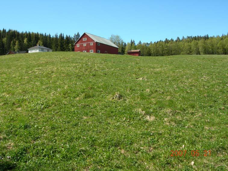 Figur 2-5 Jordbruksarealet held framleis kravet til lettbrukt, fulldyrka jord (Foto: E. Mjaavatten) NEDRE OMRÅDET Dette området er arealmessig det største (Figur 2-7).